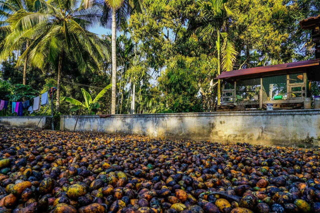 Spice Garden Farm House Sultan Bathery Ngoại thất bức ảnh