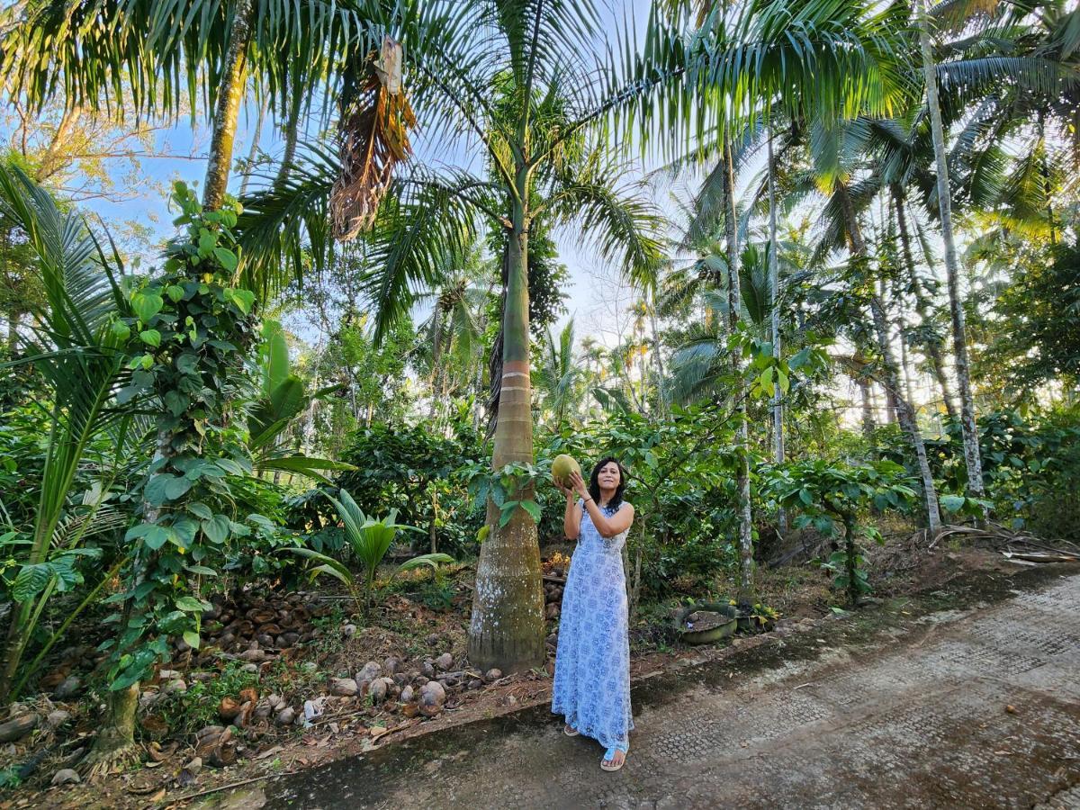 Spice Garden Farm House Sultan Bathery Ngoại thất bức ảnh