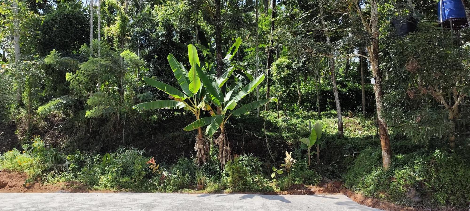Spice Garden Farm House Sultan Bathery Ngoại thất bức ảnh