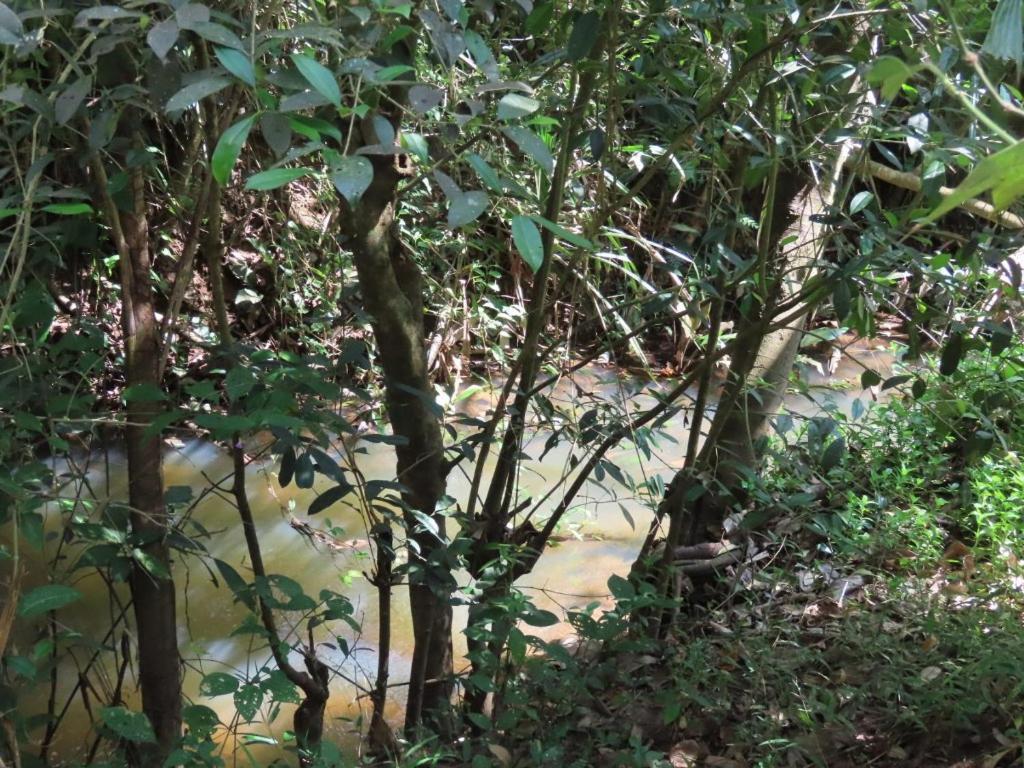 Spice Garden Farm House Sultan Bathery Ngoại thất bức ảnh
