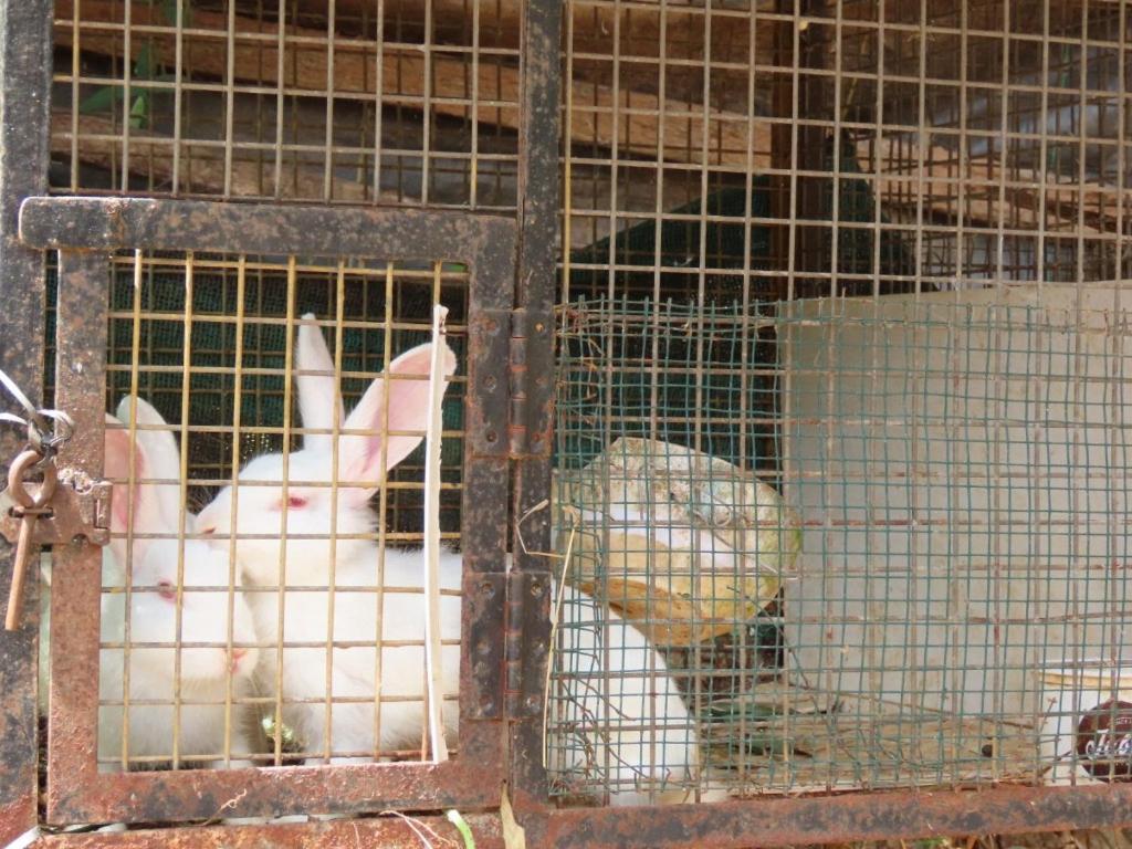Spice Garden Farm House Sultan Bathery Ngoại thất bức ảnh