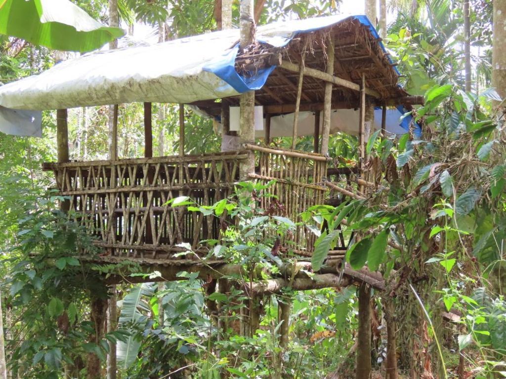 Spice Garden Farm House Sultan Bathery Ngoại thất bức ảnh